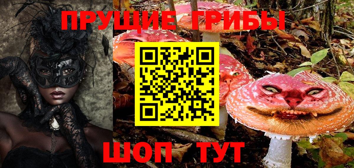 Псилоцибиновые грибы Psilocybe Осинники